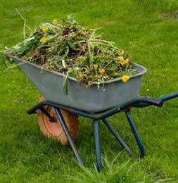Garden Waste Removal